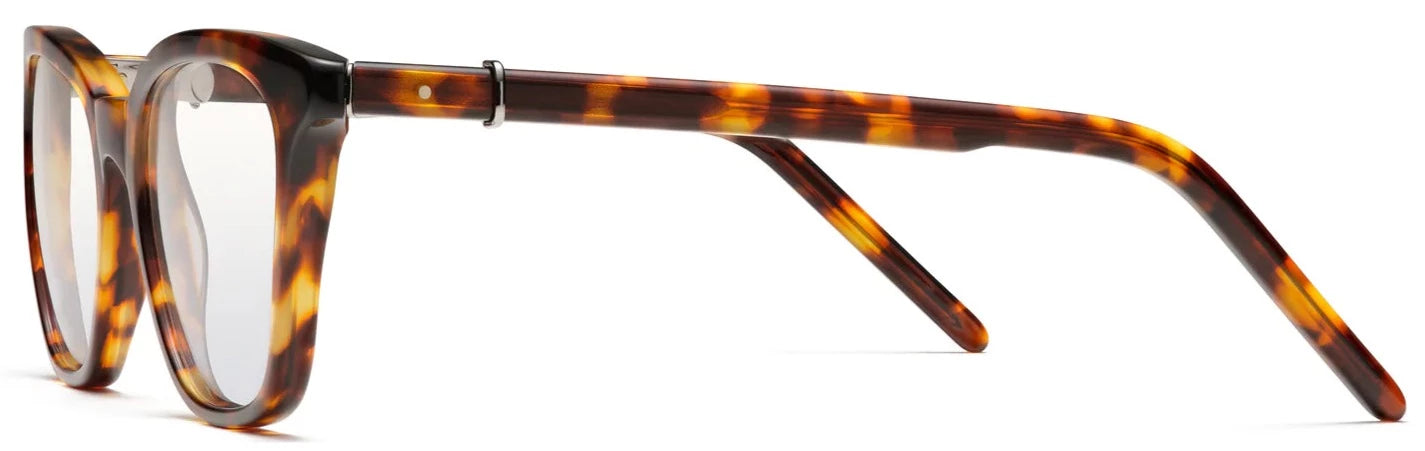 Alexander Daas - Robert Marc 1015 Eyeglasses - Walnut - Side View