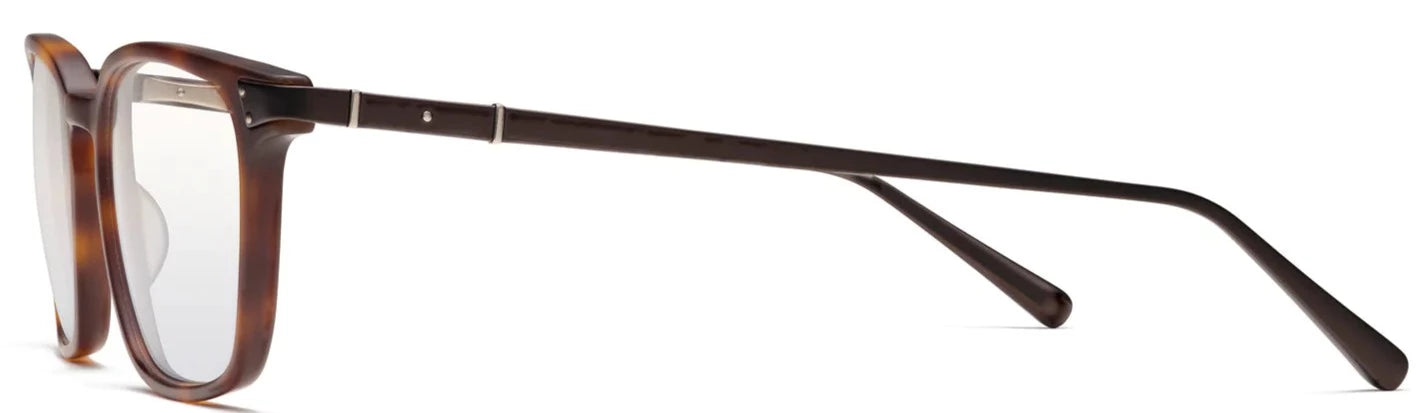 Alexander Daas - Robert Marc 893 Eyeglasses - Matte Tortoise - Side View