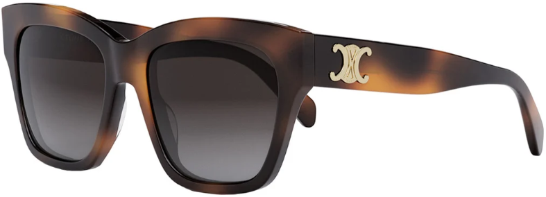 Alexander Daas - Celine CL40253I Sunglasses - 53K Shiny Havana - Gradient Roviex - Side View