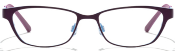 Alexander Daas - Bevel Robona Eyeglasses - Purple & Sky Blue - Front View