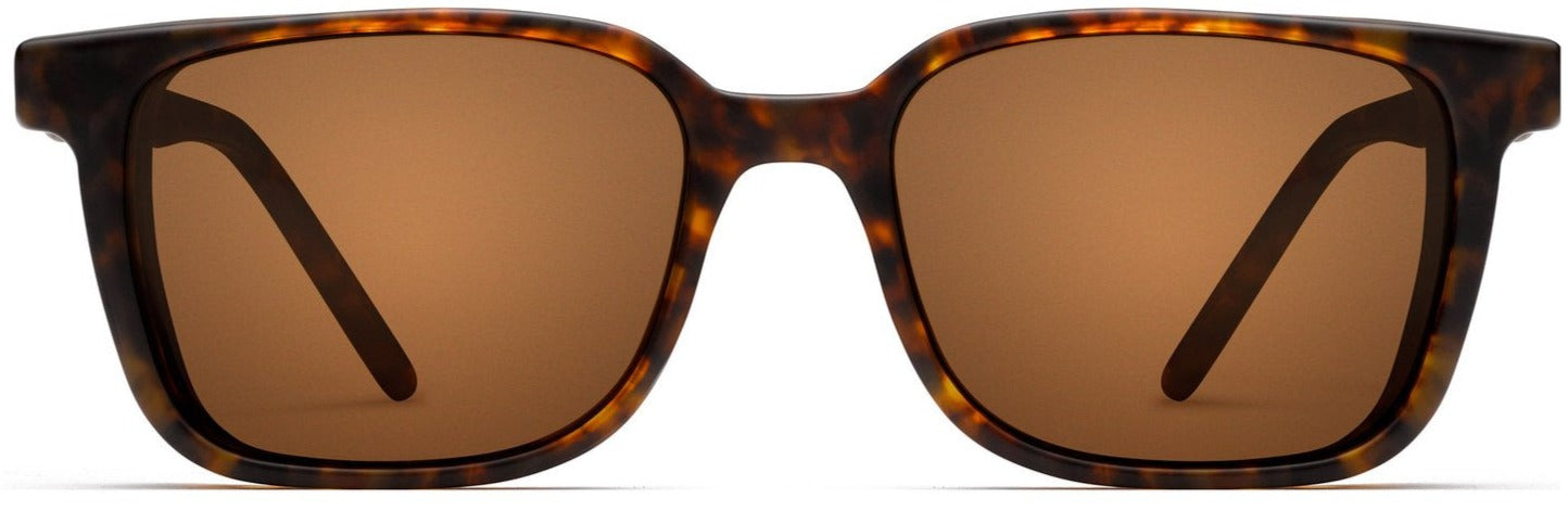 Alexander Daas - Robert Marc 947 Sunglasses - Matte Tortoise - Front View