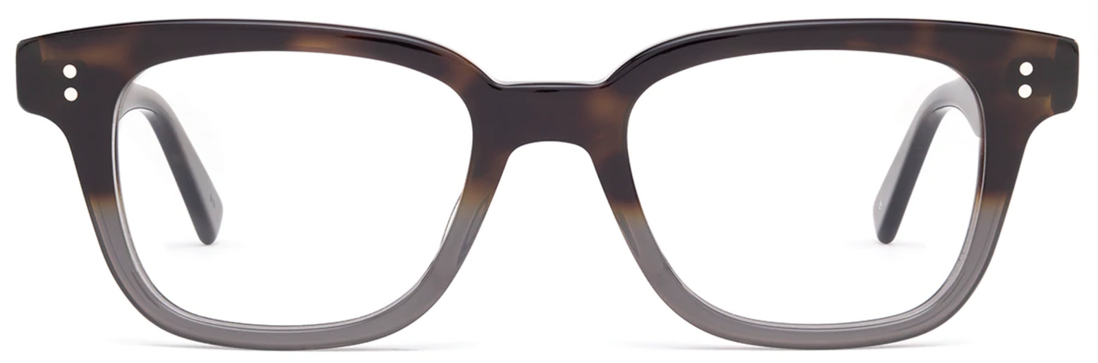 Alexander Daas - Salt Optics Max Eyeglasses - Earth Grey - Front View