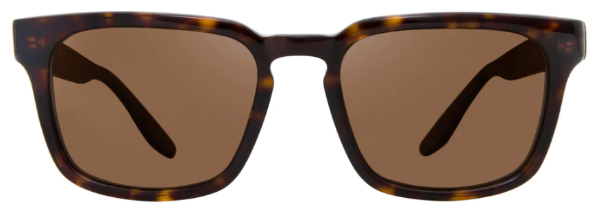 Alexander Daas - Barton Perreira Hamilton Sunglasses - Dark Walnut - Front View