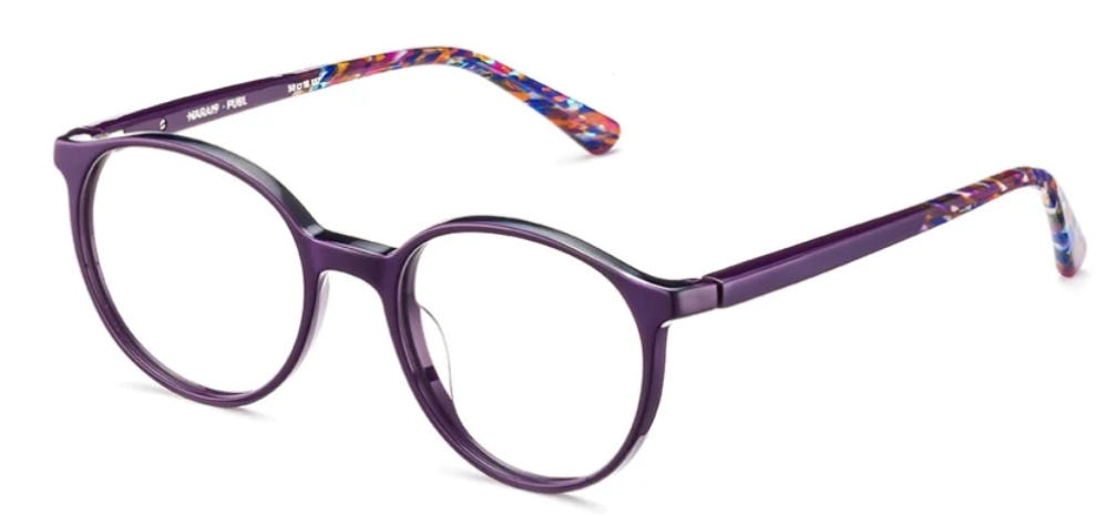 Alexander Daas - Etnia Barcelona Nara 19 Eyeglasses - Purple & Blue - Side View