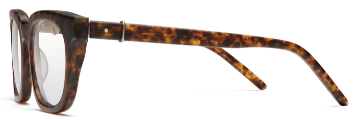 Alexander Daas - Robert Marc 1013 Eyeglasses - Matte Tortoise - Side View