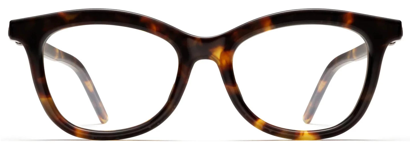 Alexander Daas - Robert Marc 1029 Eyeglasses - Tortoise - Front View