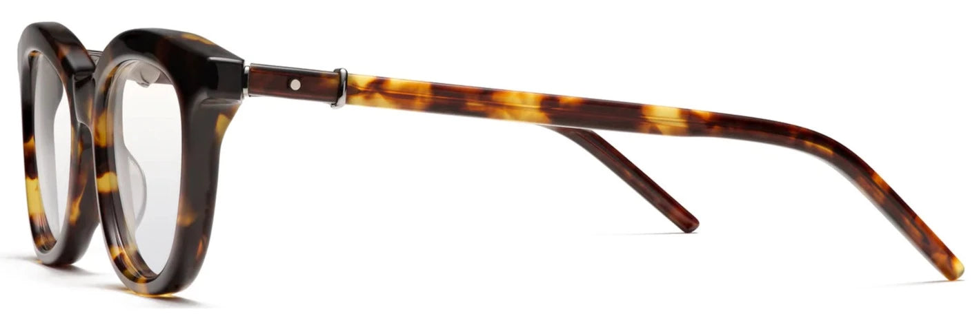 Alexander Daas - Robert Marc 1029 Eyeglasses - Tortoise - Side View