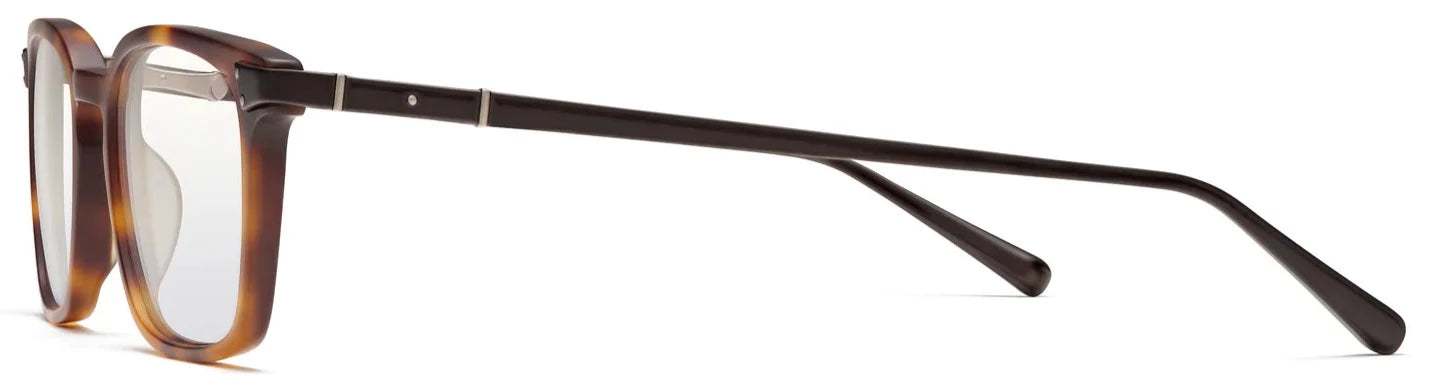 Alexander Daas - Robert Marc 2015 Eyeglasses - Matte Tortoise - Side View