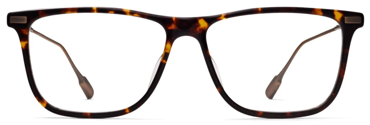 Alexander Daas - Robert Marc 2019 Eyeglasses - Tortoise &amp; Antique Gold - Front View