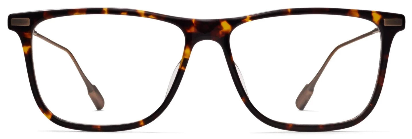 Alexander Daas - Robert Marc 2019 Eyeglasses - Tortoise & Antique Gold - Front View