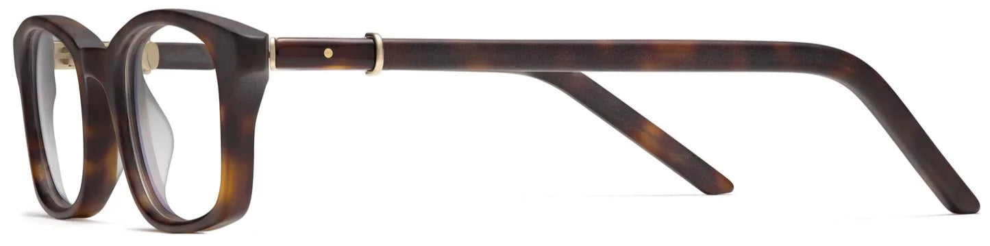 Alexander Daas - Robert Marc 206SM Eyeglasses - Matte Tortoise - Side View