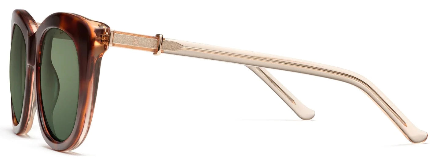 Alexander Daas - Robert Marc 5019 Sunglasses - Java - Side View