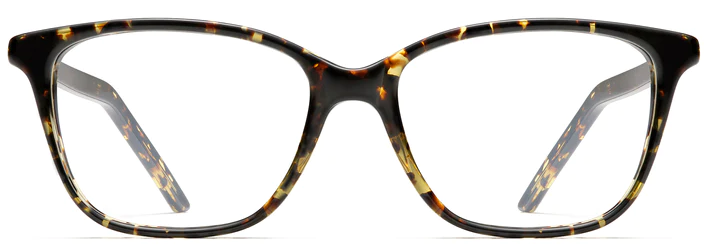 Alexander Daas - Robert Marc 836 Eyeglasses - Tokyo Tortoise - Front View