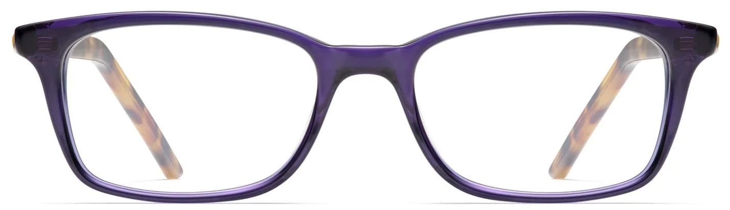 Alexander Daas - Robert Marc 886 Eyeglasses - Blue Ridge - Front View
