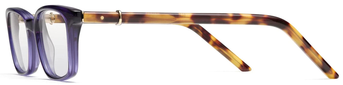 Alexander Daas - Robert Marc 886 Eyeglasses - Blue Ridge - Side View