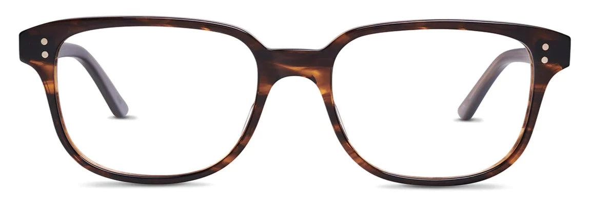 Alexander Daas - SALT Optics Nelson 55 Eyeglasses - Amber Glacier - Front View