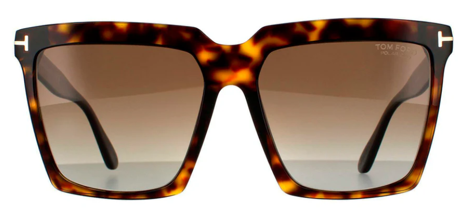 Alexander Daas - Tom Ford Sabrina FT0764 Sunglasses - Tortoise &amp; Polarized Brown Lenses - Front View