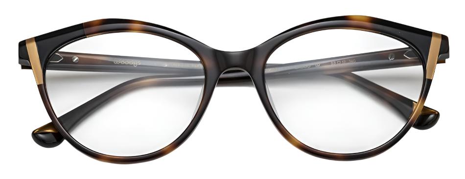 Alexander Daas - Woodys Basilio Eyeglasses - Tortoise - Front View