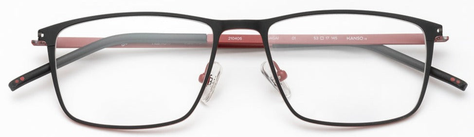 Alexander Daas - Woodys Nagai Eyeglasses - Matte Red - Front View