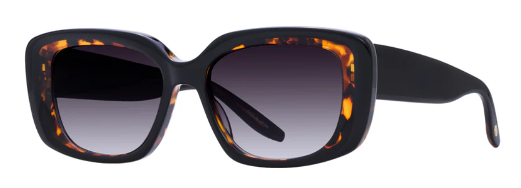 Alexander Daas - Barton Perreira Binti Sunglasses- Black Amber Tortoise Smolder - Side View