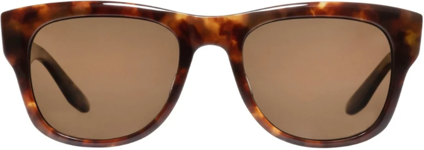 Alexander Daas - Barton Perreira Kuhio Sunglasses - Chestnut &amp; Sequioa Polar - Front View