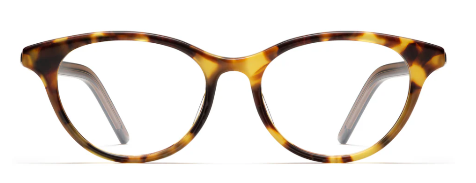 Alexander Daas - Robert Marc 1025 Eyeglasses - Sepia - Front View