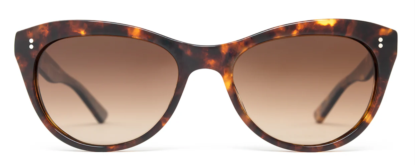 Alexander Daas - Salt Optics Hillier Sunglasses - Toasted Toffee Brown Gradient - Front View