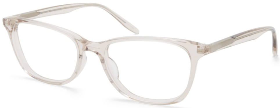 Alexander Daas - Barton Perreira Cassady 50 Eyeglasses - Hush - Side View