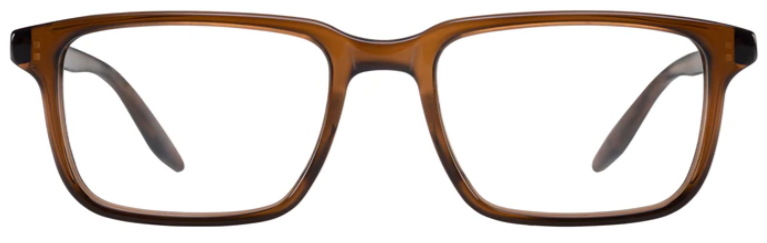 Alexander Daas - Barton Perreira Eero Eyeglasses - Clove - Front View