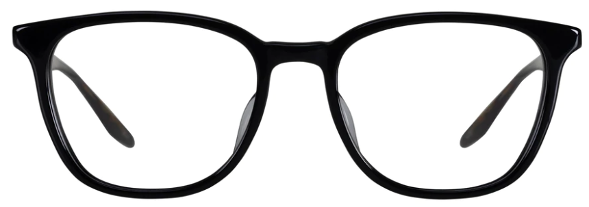 Alexander Daas - Barton Perreira Steinam Eyeglasses - Black Sulcata Tortoise - Front View