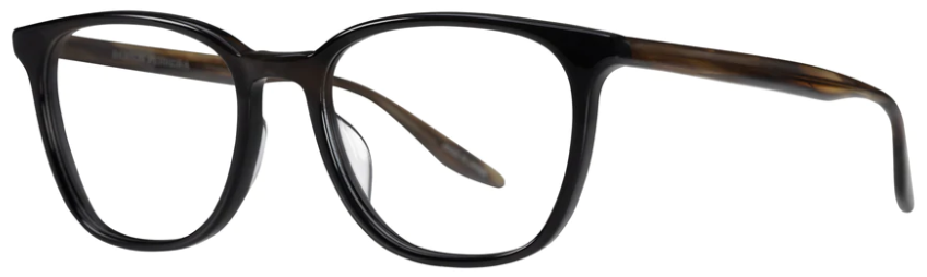 Alexander Daas - Barton Perreira Steinam Eyeglasses - Black Sulcata Tortoise - Side View