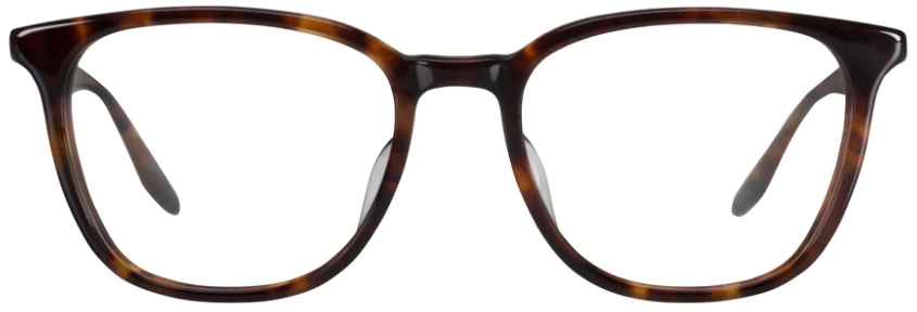 Alexander Daas - Barton Perreira Steinam Eyeglasses - Chestnut - Front View