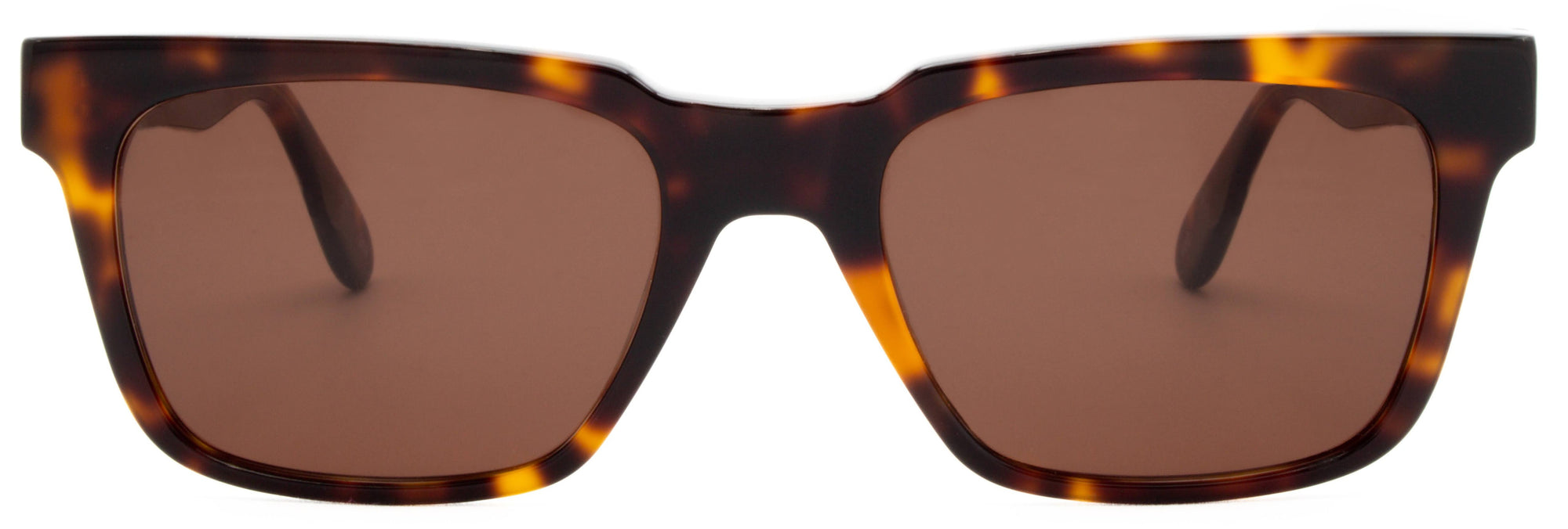 Alexander Daas - Benjamin Sunglasses - Tortoise - Front View