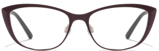 Alexander Daas - Bevel 3MM Above Eyeglasses - Granite &amp; Salmon - Front View