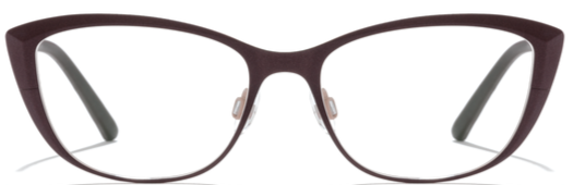 Alexander Daas - Bevel 3MM Above Eyeglasses - Granite & Salmon - Front View