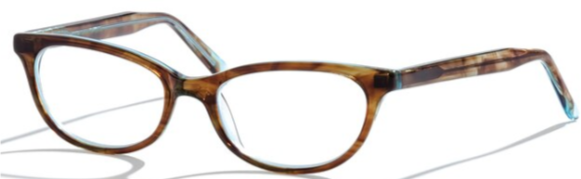 Alexander Daas - Bevel C.S.OY.NY Eyeglasses - Brown &amp; Mint - Side View