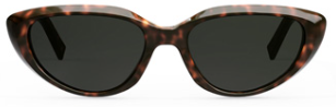 Alexander Daas - Celine 40220U/S Sunglasses - Havana &amp; Solid Grey - Front View