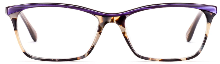 Alexander Daas - Etnia Barcelona Carpi Eyeglasses - Purple Havana - Front View