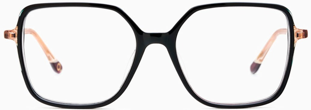 Alexander Daas - Etnia Barcelona Eyeglass - Black &amp; Gold - Front View