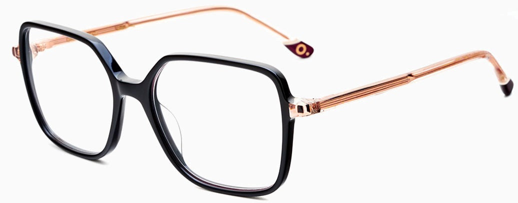 Alexander Daas - Etnia Barcelona Eyeglasses - Black &amp; Gold - Side View