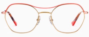 Alexander Daas - Etnia Barcelona Kampen Eyeglasses - Golden Coral - Front View
