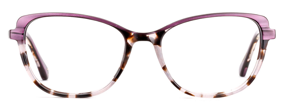 Alexander Daas - Etnia Barcelona Notre Dame Eyeglasses - Havana Fuchsia - Front View