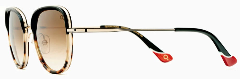 Alexander Daas - Etnia Barcelona Queretaro Sunglasses - Black Havana - Side View