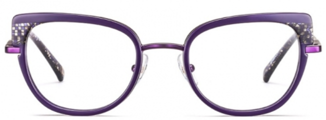 Alexander Daas - Etnia Barcelona Trapani Eyeglasses - Purple - Front View