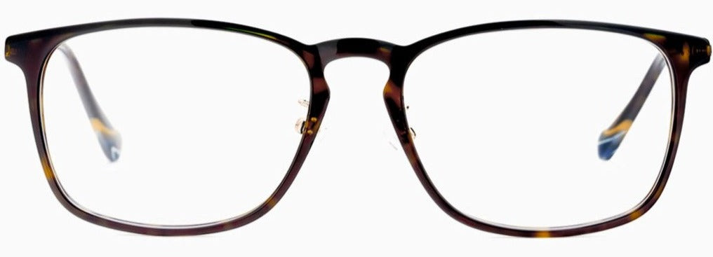 Alexander Daas - Etnia Barcelona Ulan Bator Eyeglasses - Havana Black - Front View