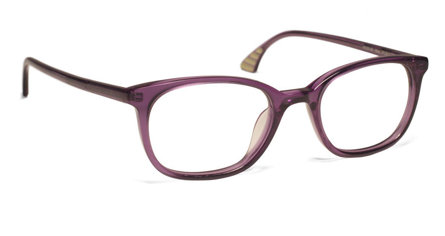 Alexander Daas - KBL Tough Opposition Eyeglasses - DPC - Side View