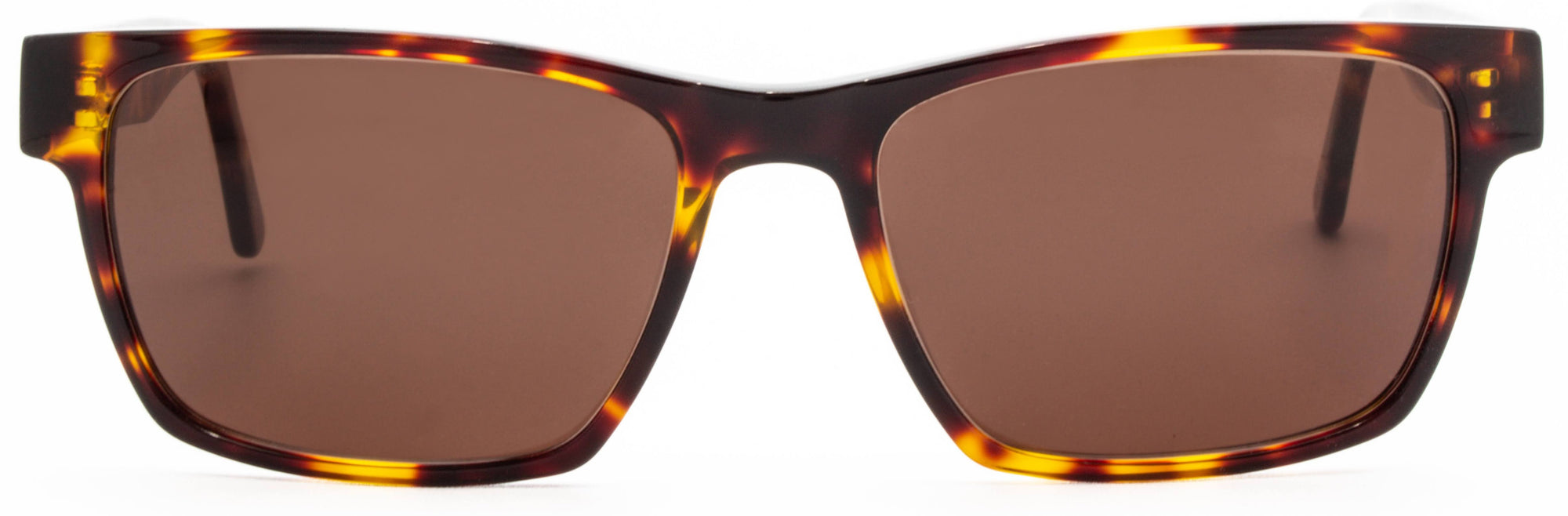 Alexander Daas - Remy Sunglasses - Tortoise - Front View