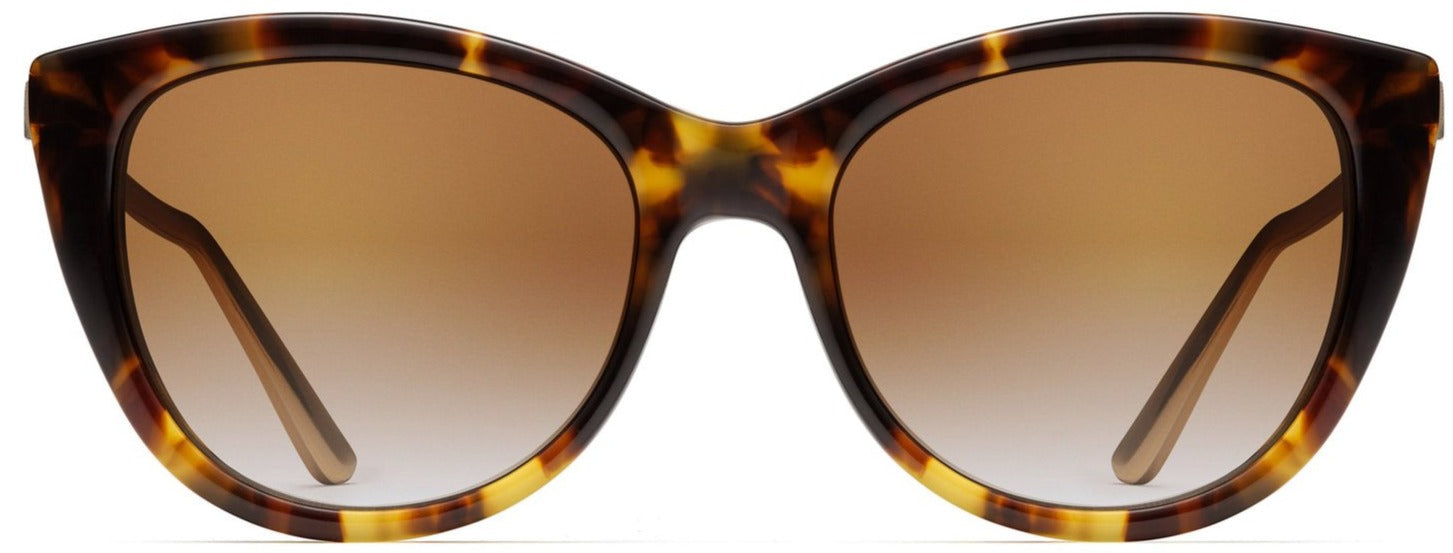 Alexander Daas - Robert Marc 6001 Sunglasses - Mocha - Front View