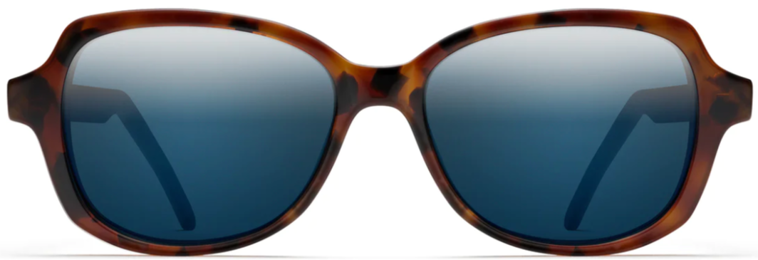 Alexander Daas - Robert Marc 688 Sunglasses - Cedar & Navy - Front View