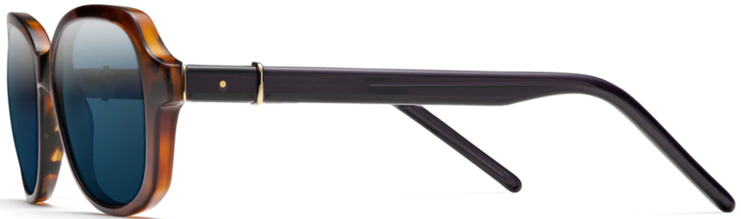 Alexander Daas - Robert Marc 688 Sunglasses - Cedar & Navy - Side View